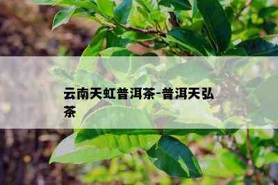 云南天虹普洱茶-普洱天弘茶