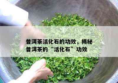 普洱茶活化石的功效，揭秘普洱茶的“活化石”功效