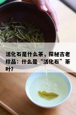 活化石是什么茶，探秘古老珍品：什么是“活化石”茶叶？