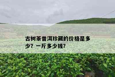 古树茶普洱珍藏的价格是多少？一斤多少钱？