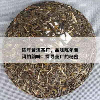 陈年普洱茶厂，品味陈年普洱的韵味：探寻茶厂的秘密