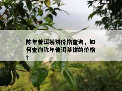 陈年普洱茶饼价格查询，怎样查询陈年普洱茶饼的价格？