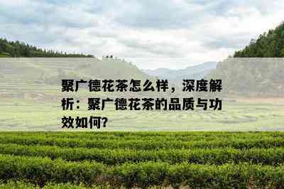 聚广德花茶怎么样，深度解析：聚广德花茶的品质与功效怎样？