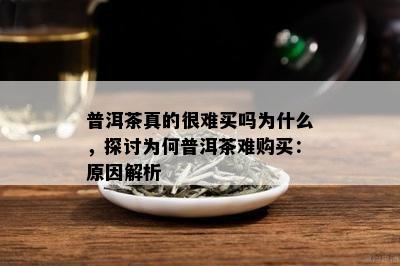 普洱茶真的很难买吗为什么，探讨为何普洱茶难购买：原因解析