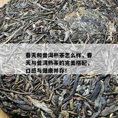 春天和普洱熟茶怎么样，春天与普洱熟茶的完美搭配，口感与健康并存！