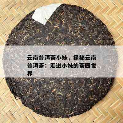 云南普洱茶小妹，探秘云南普洱茶：走进小妹的茶园世界