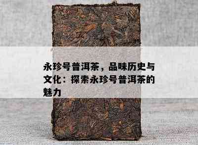 永珍号普洱茶，品味历史与文化：探索永珍号普洱茶的魅力