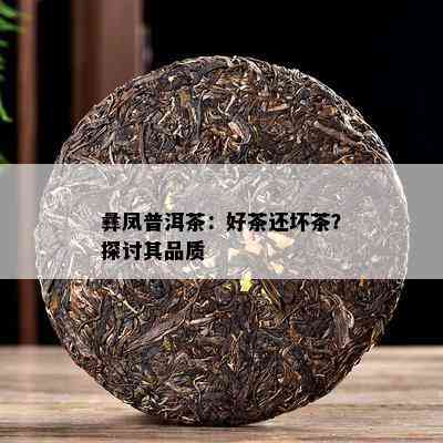 彝凤普洱茶：好茶还坏茶？探讨其品质