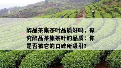 醉品茶集茶叶品质好吗，探究醉品茶集茶叶的品质：你是否被它的口碑所吸引？