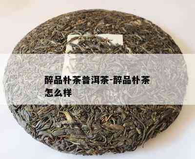 醉品朴茶普洱茶-醉品朴茶怎么样