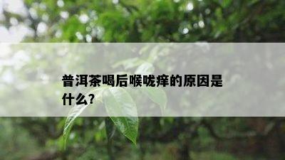 普洱茶喝后喉咙痒的起因是什么？