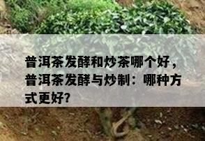 普洱茶发酵和炒茶哪个好，普洱茶发酵与炒制：哪种方法更好？