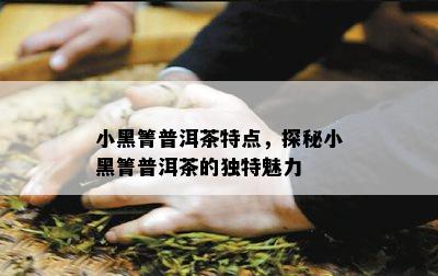 小黑箐普洱茶特点，探秘小黑箐普洱茶的特别魅力