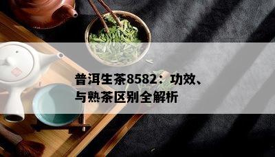 普洱生茶8582：功效、与熟茶区别全解析