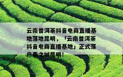 云南普洱茶抖音电商直播基地落地昆明，「云南普洱茶抖音电商直播基地」正式落户春之城昆明！