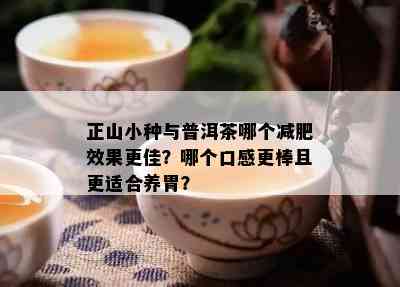 正山小种与普洱茶哪个减肥效果更佳？哪个口感更棒且更适合养胃？