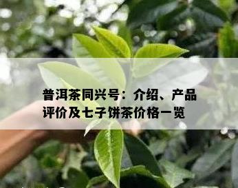 普洱茶同兴号：介绍、产品评价及七子饼茶价格一览