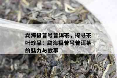 勐海极普号普洱茶，探寻茶叶珍品：勐海极普号普洱茶的魅力与故事