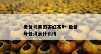 极普号普洱茶红茶叶-极普号普洱茶什么价