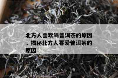 北方人喜欢喝普洱茶的起因，揭秘北方人喜爱普洱茶的起因