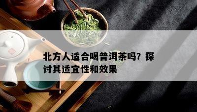 北方人适合喝普洱茶吗？探讨其适宜性和效果