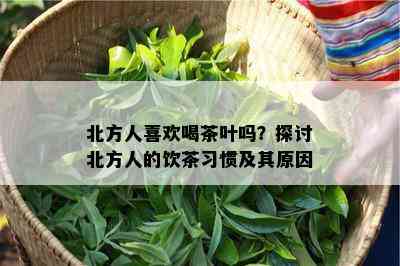 北方人喜欢喝茶叶吗？探讨北方人的饮茶习惯及其起因