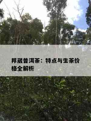 邦崴普洱茶：特点与生茶价格全解析