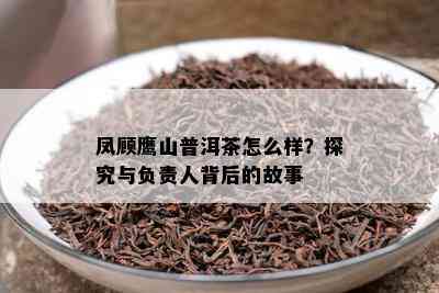 凤顾鹰山普洱茶怎么样？探究与负责人背后的故事