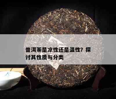 普洱茶是凉性还是温性？探讨其性质与分类