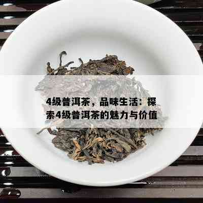 4级普洱茶，品味生活：探索4级普洱茶的魅力与价值