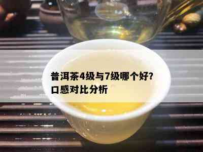 普洱茶4级与7级哪个好？口感对比分析