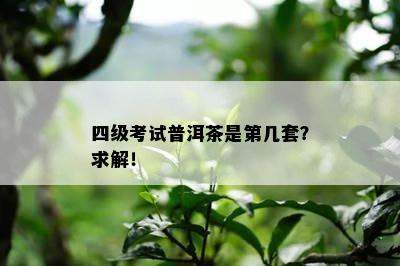 四级考试普洱茶是第几套？求解！