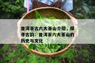 普洱茶古六大茶山介绍，探寻古韵：普洱茶六大茶山的历史与文化