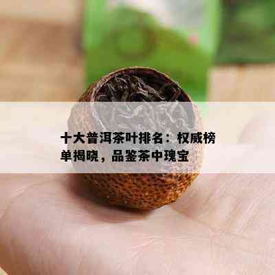 十大普洱茶叶排名：权威榜单揭晓，品鉴茶中瑰宝