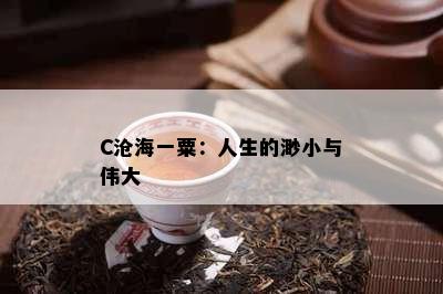 C沧海一粟：人生的渺小与伟大