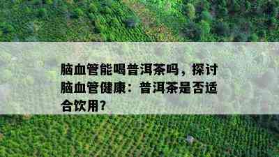 脑血管能喝普洱茶吗，探讨脑血管健康：普洱茶是不是适合饮用？