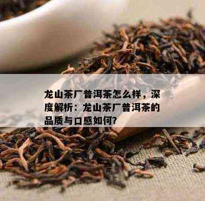 龙山茶厂普洱茶怎么样，深度解析：龙山茶厂普洱茶的品质与口感如何？