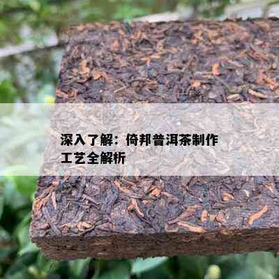 深入了解：倚邦普洱茶制作工艺全解析