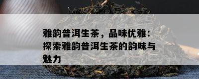 雅韵普洱生茶，品味优雅：探索雅韵普洱生茶的韵味与魅力