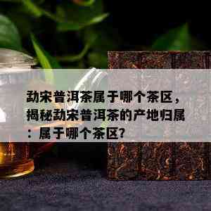 勐宋普洱茶属于哪个茶区，揭秘勐宋普洱茶的产地归属：属于哪个茶区？