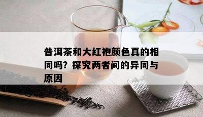 普洱茶和大红袍颜色真的相同吗？探究两者间的异同与起因