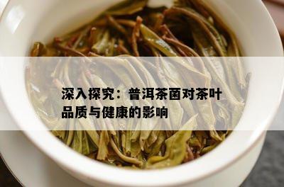 深入探究：普洱茶菌对茶叶品质与健康的影响