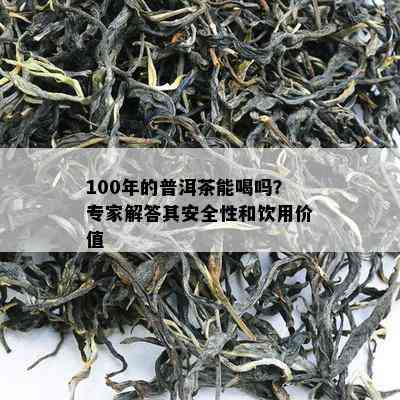 100年的普洱茶能喝吗？专家解答其安全性和饮用价值