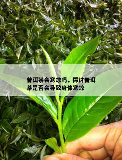 普洱茶会寒凉吗，探讨普洱茶是不是会引起身体寒凉