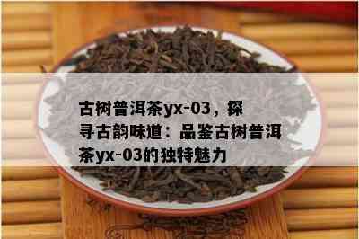 古树普洱茶yx-03，探寻古韵味道：品鉴古树普洱茶yx-03的独特魅力