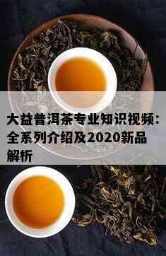 大益普洱茶专业知识视频：全系列介绍及2020新品解析