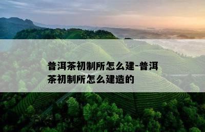 普洱茶初制所怎么建-普洱茶初制所怎么建造的