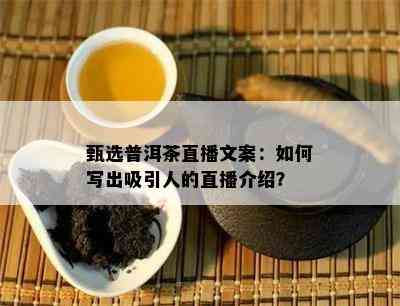 甄选普洱茶直播文案：如何写出吸引人的直播介绍？