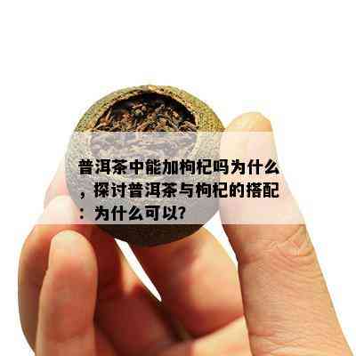 普洱茶中能加枸杞吗为什么，探讨普洱茶与枸杞的搭配：为什么可以？