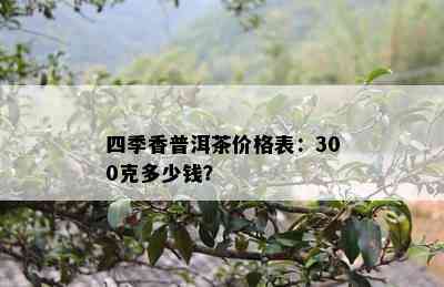 四季香普洱茶价格表：300克多少钱？